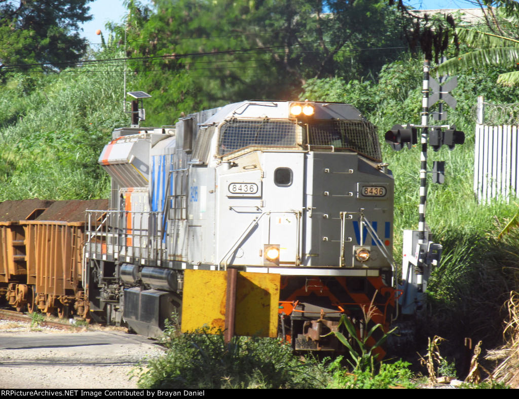 VLI 8436